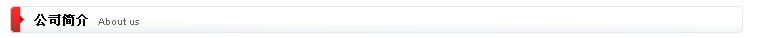 公司簡介